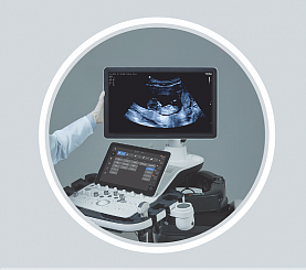 Homiladorlik davrlari